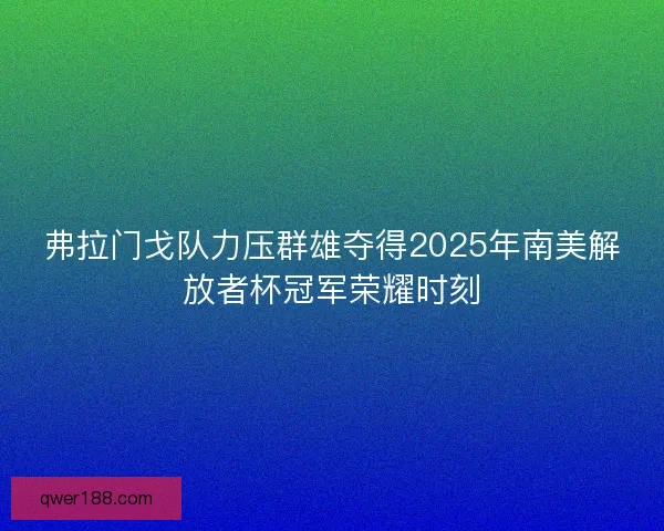 弗拉门戈队力压群雄夺得2025年南美解放者杯冠军荣耀时刻